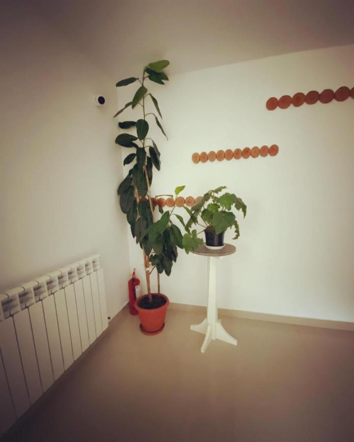 Maison Platanus Voineasa Eksteriør billede